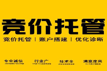 SEM推广策略：实操案例分享